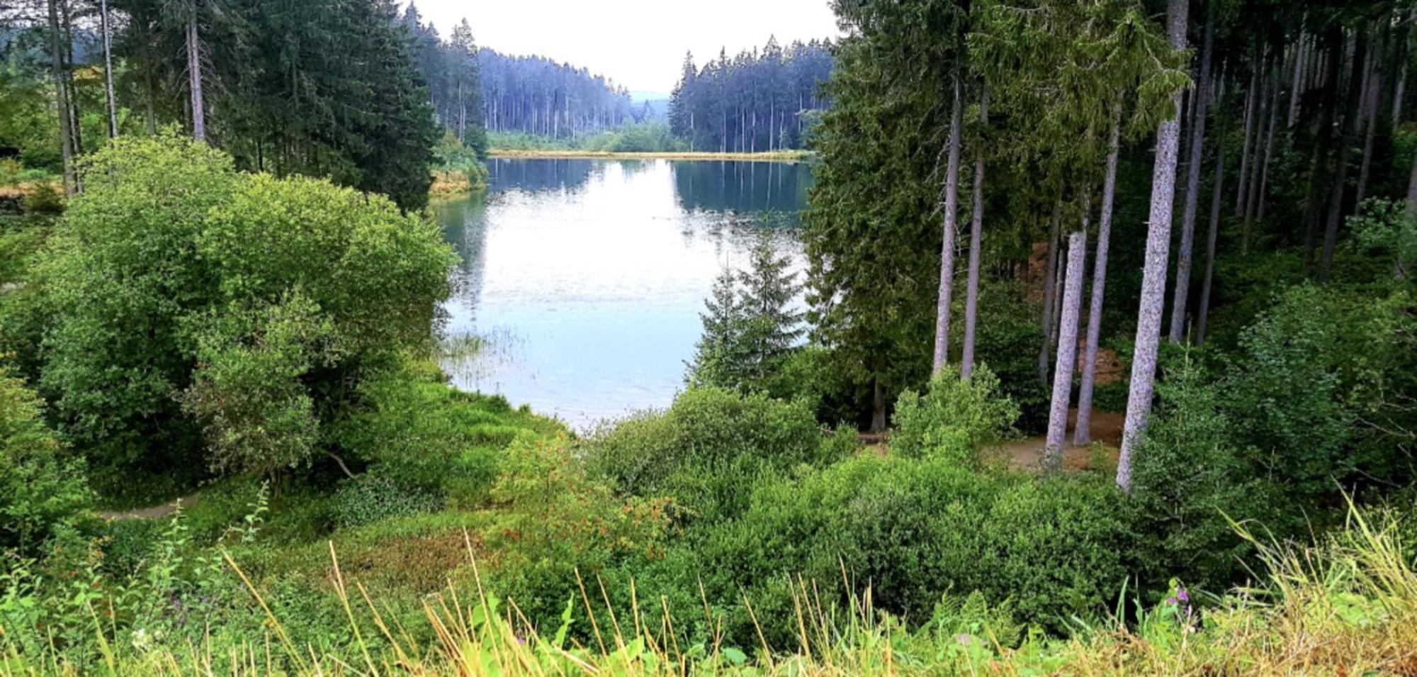 Kleine Freiheit Apartment Am See Goslar Exteriör bild